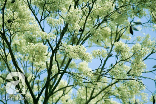 5 địa điểm tuyệt vời cho c&aacute;c "ph&oacute; nh&aacute;y"